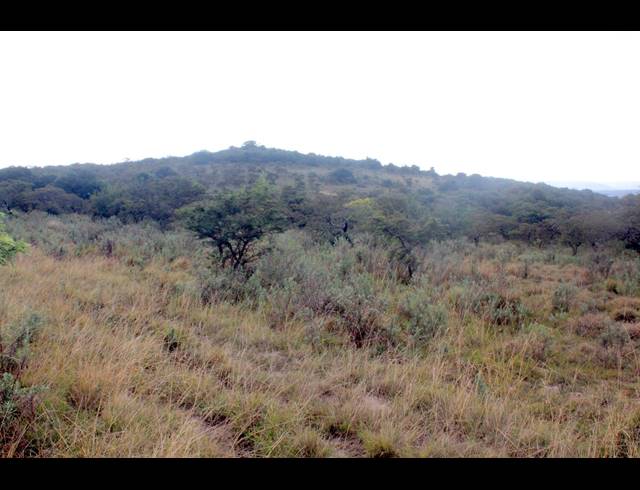 367HA FARM FOR SALE IN KOMGA